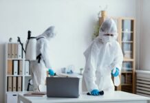 Pest Prevention: A Step-by-Step Guide Pest Prevention