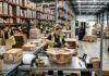 The Practical Side of Sourcing Timber for Commercial Projects B2B timber wholesaler